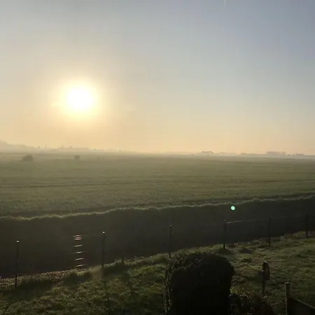Polderhaan *
