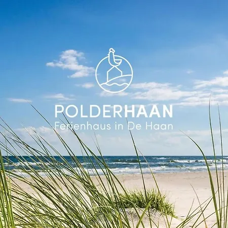 Polderhaan De Haan
