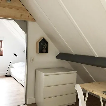 Polderhaan