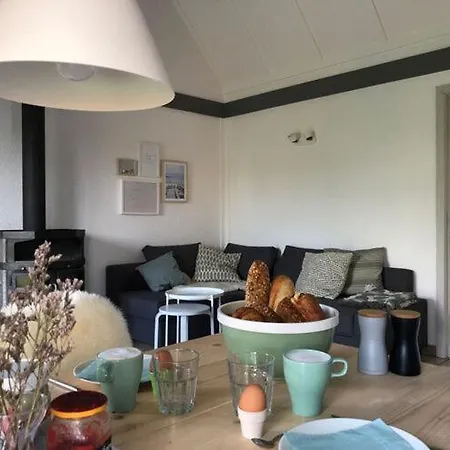 Polderhaan *